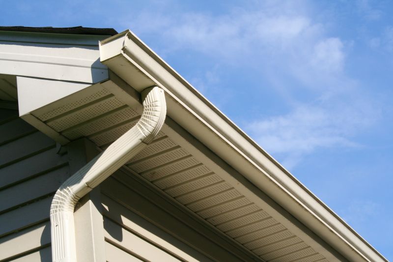 Eavestrough Clearing in Long Island, NY