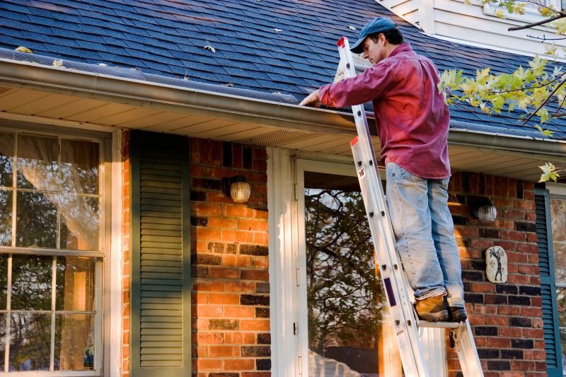 Gutter Cleaning in Baltimore, MD