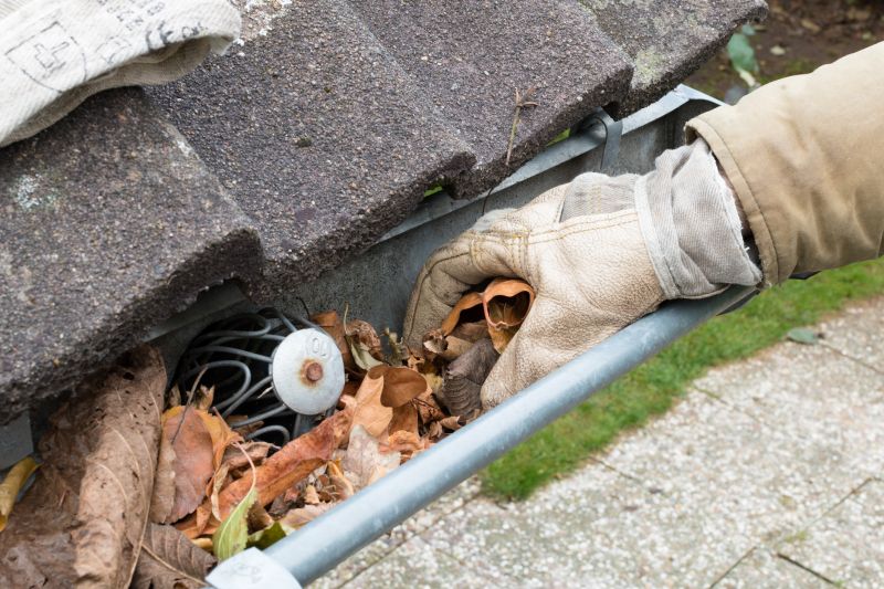 Gutter Leaf Clearing in Bergen County, NJ
