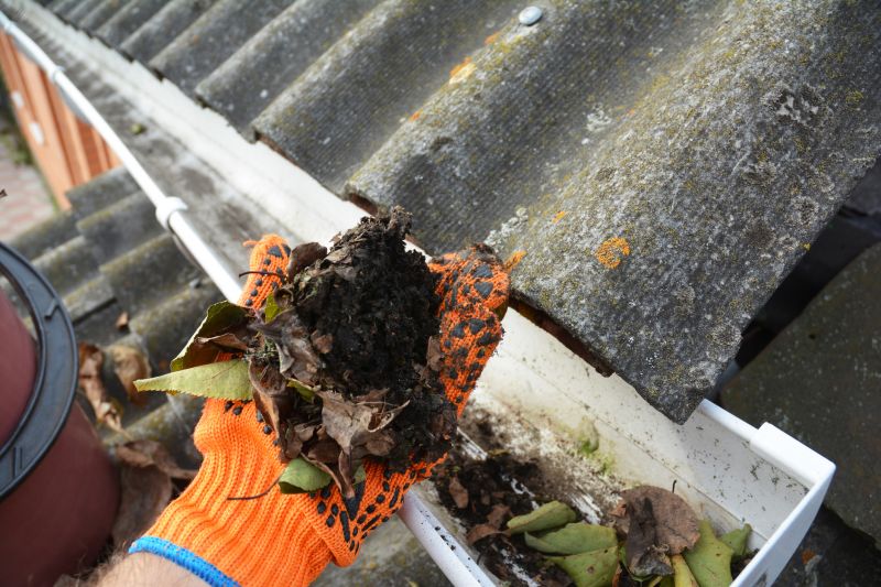 Gutter Maintenance in Richmond, VA