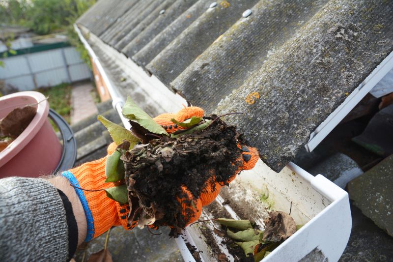 Gutter Pine Needle Removal in Annapolis, MD