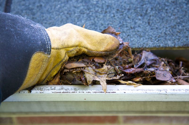 Gutter Pine Needle Removal in Longmont, CO