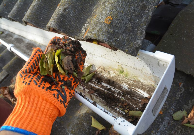 Rain Gutter Clearing in Baltimore, MD