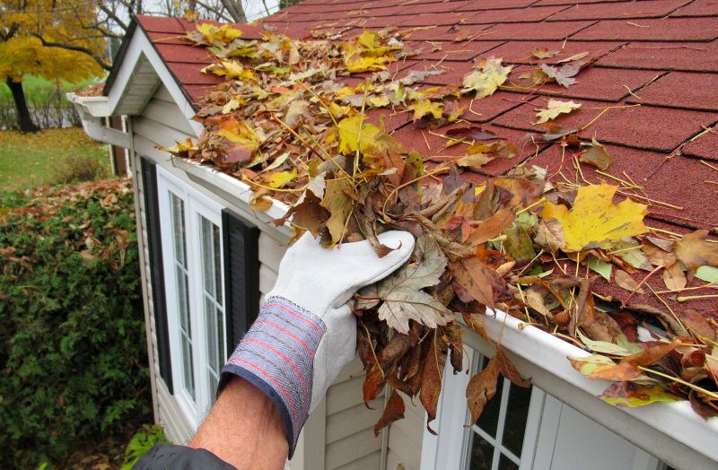 Roof Gutter Cleaning in Boulder, CO